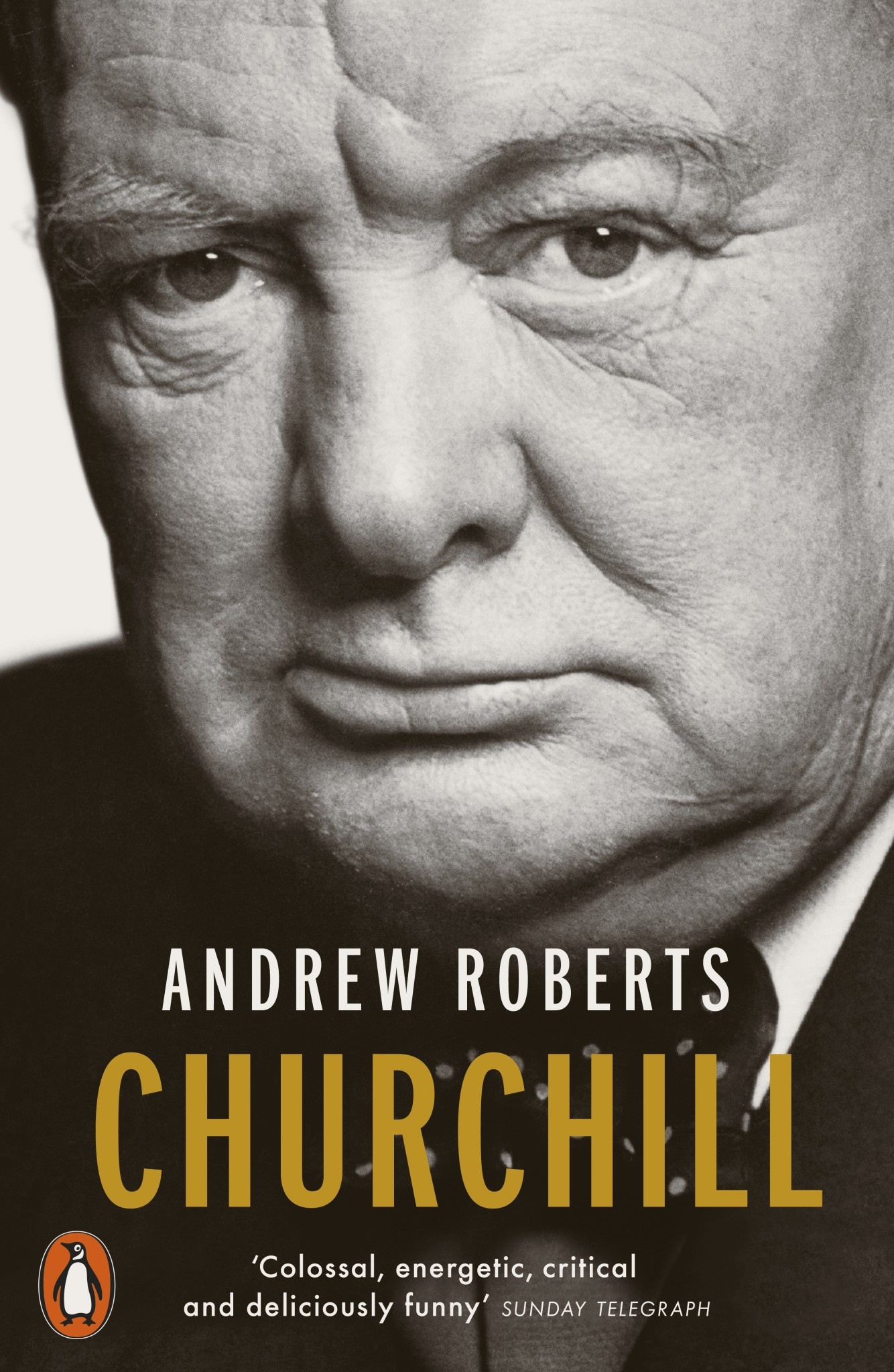 Churchill: Walking with Destiny Author Andrew Roberts