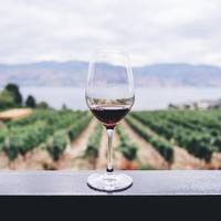 Which wine suits you?