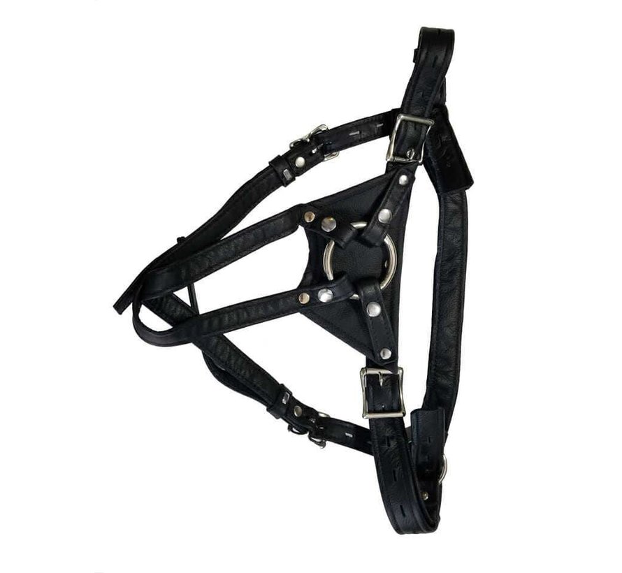 Crotch Rocket Strap-On Large