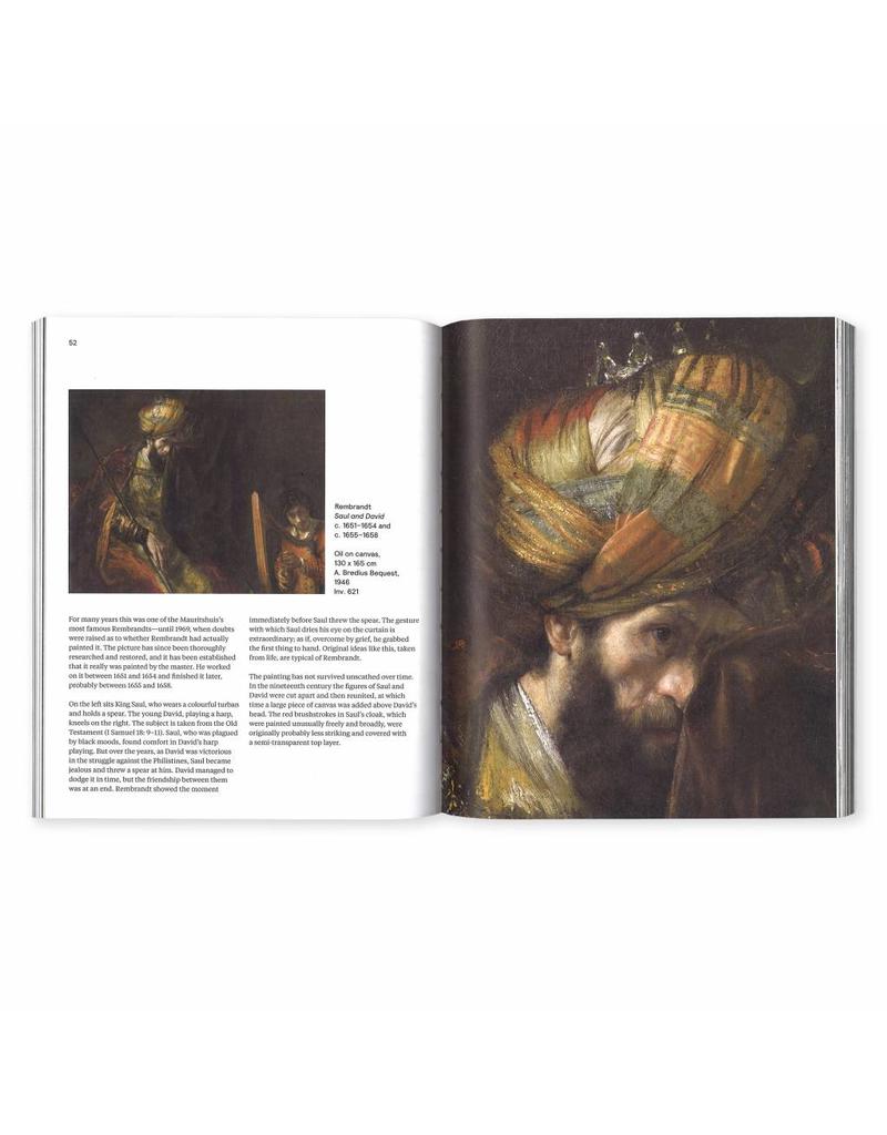 Guide Mauritshuis (English)