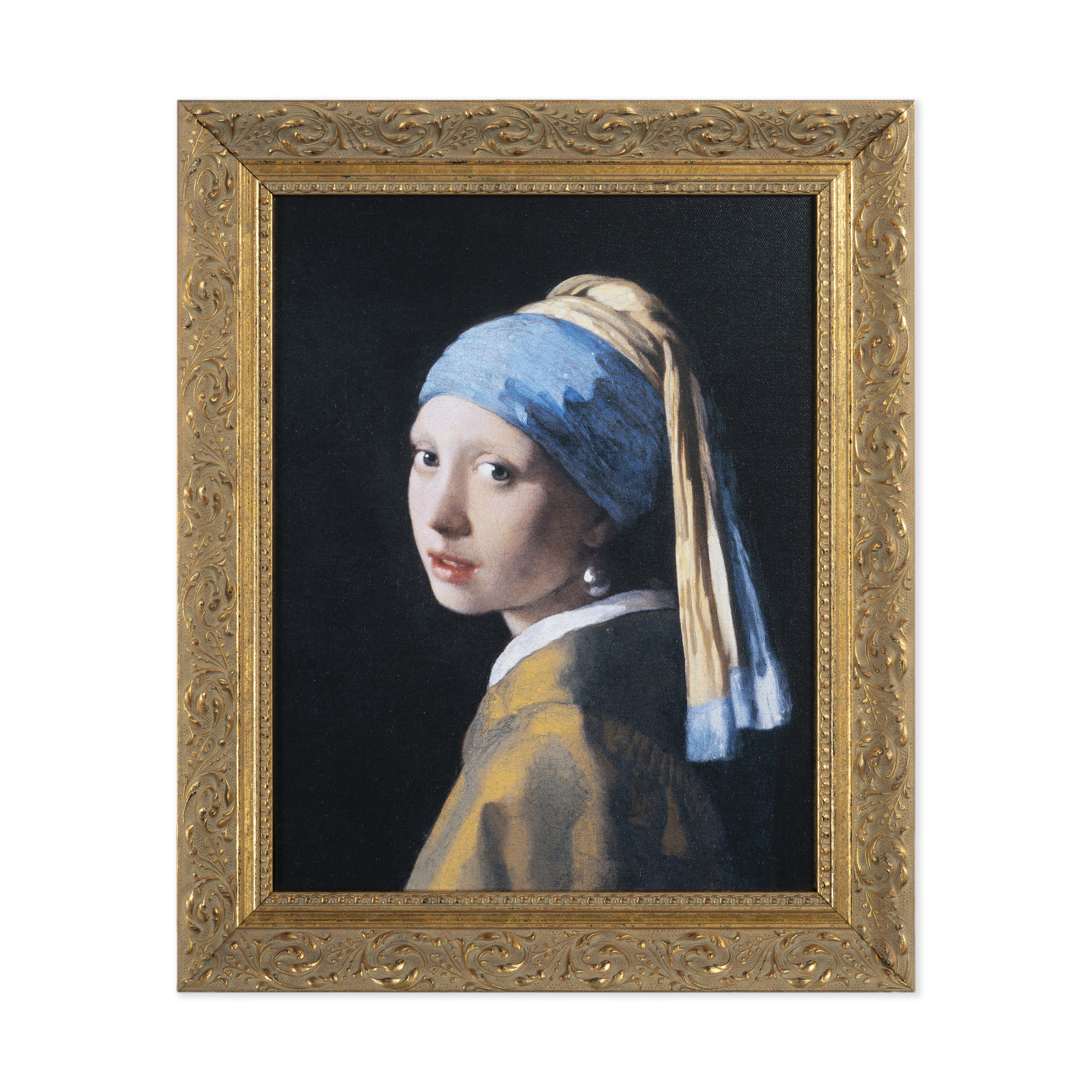 Reproductie Meisje met de op canvas - Mauritshuis Museumshop - Mauritshuis webshop