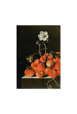 Cahier Mauritshuis diverse