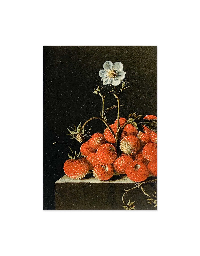 Cahier Mauritshuis diverse