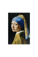 Cahier Mauritshuis diverse