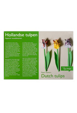 Hollandse Tulpen papieren vouwbloemen