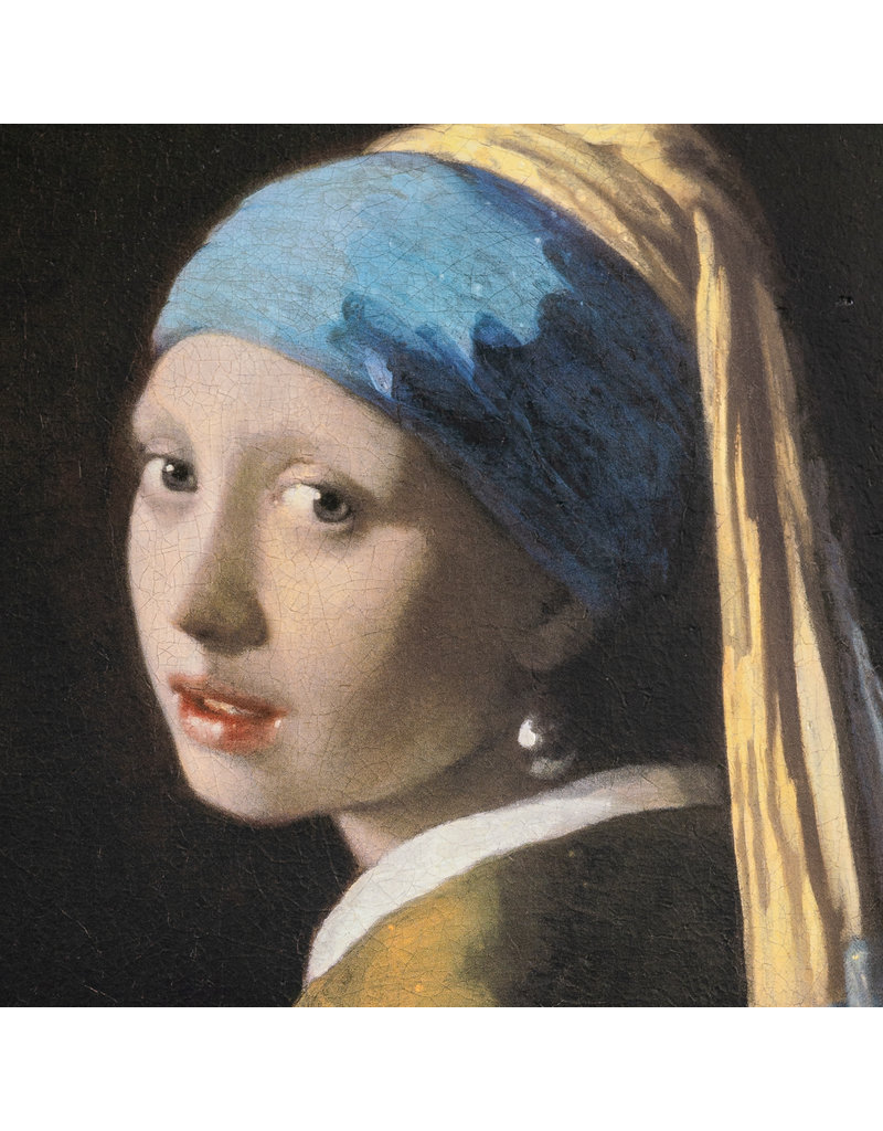 3D Reproductie Vermeer