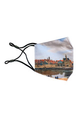 Face mask Delft