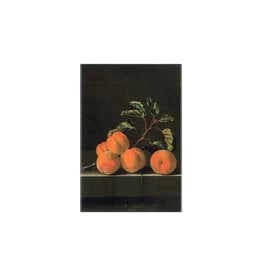 Magnet Apricots Coorte