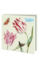 Kaartenmapje Tulips, Jacob Marrel, Collection Rijksmuseum Amsterdam