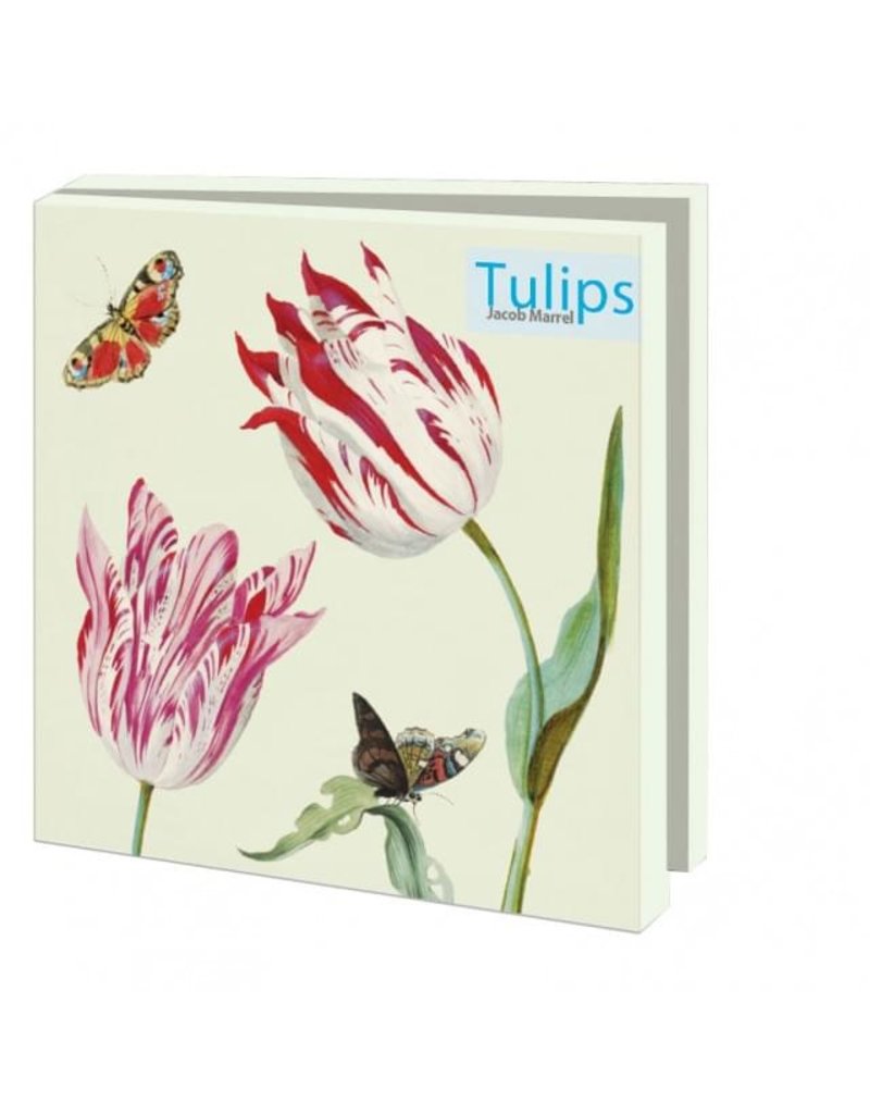 Kaartenmapje Tulips, Jacob Marrel, Collection Rijksmuseum Amsterdam