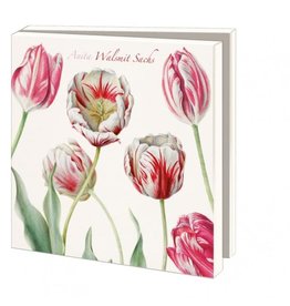 Kaartenmapje Tulips, Anita Walsmit Sachs