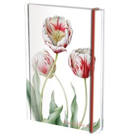 Notitieboek A5 Tulipa 'Teyler', Anita Walsmit Sachs