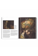 Guide Mauritshuis  (Chinese)