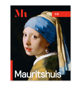 Gids Mauritshuis (Chinees)
