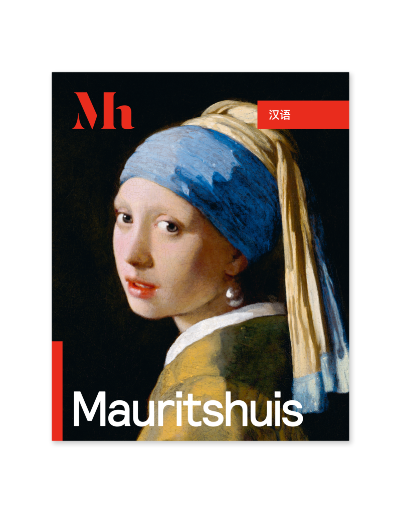 Gids Mauritshuis (Chinees)
