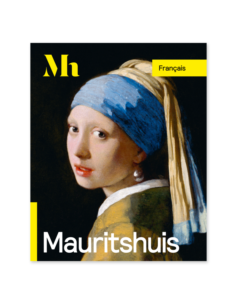 Gids Mauritshuis  (Frans)