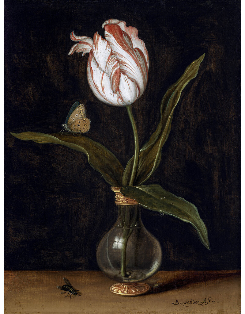 Poster Vase with a single tulip Balthasar van der Ast