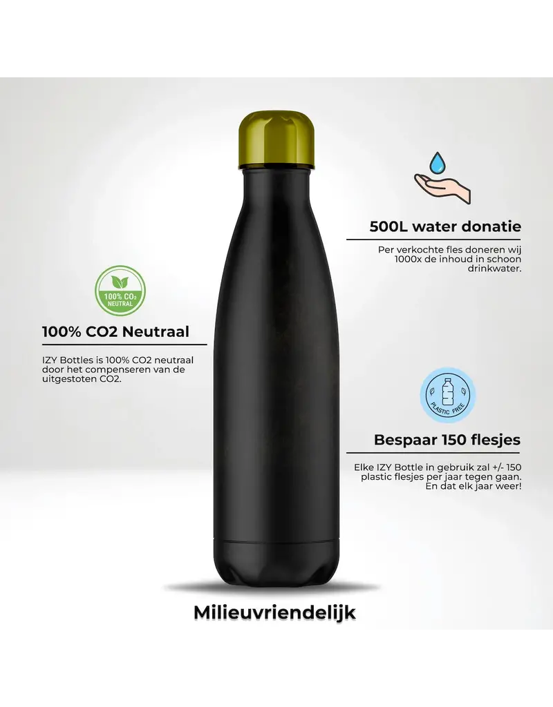 Thermos bottle Girl with the Pearl, 500ml