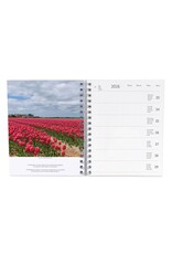 Holland Diary 2026