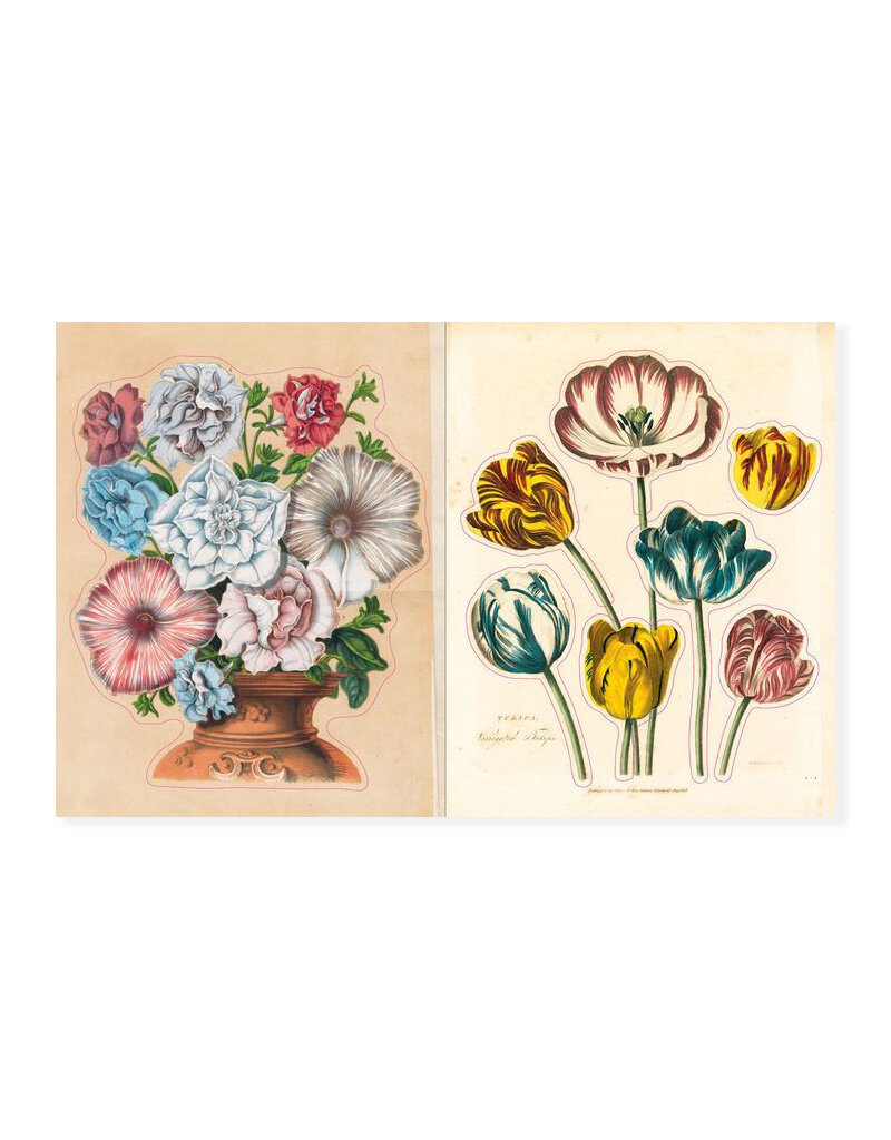 John Derian Sticker Book