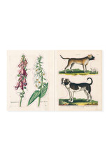John Derian Sticker Book