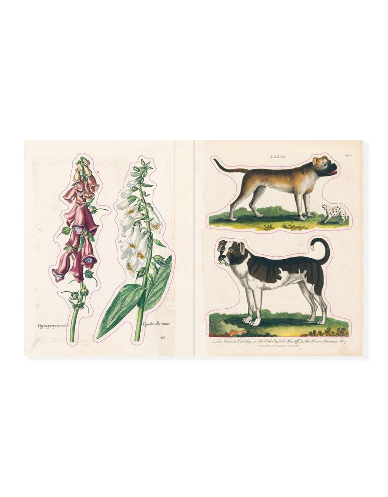 John Derian Sticker Book