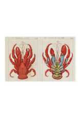 John Derian Sticker Book
