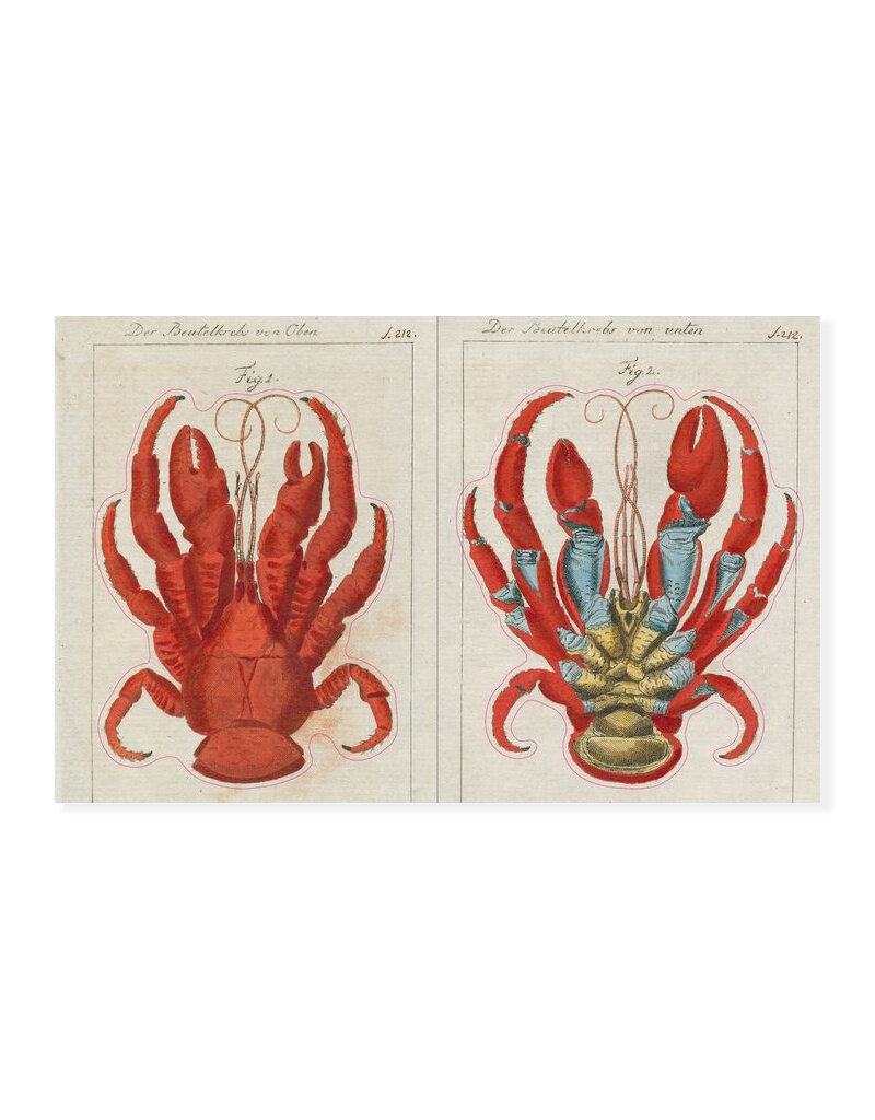 John Derian Sticker Book