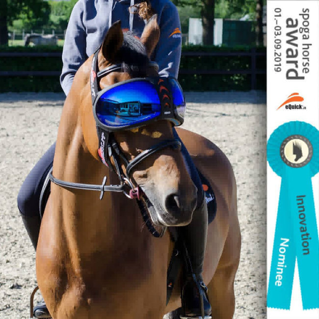 eQuick Evysor horseglasses
