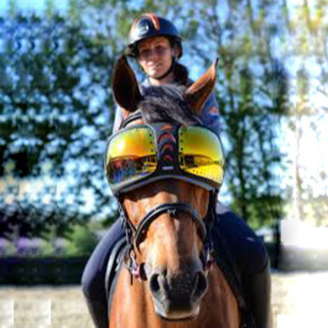 eQuick Evysor horseglasses