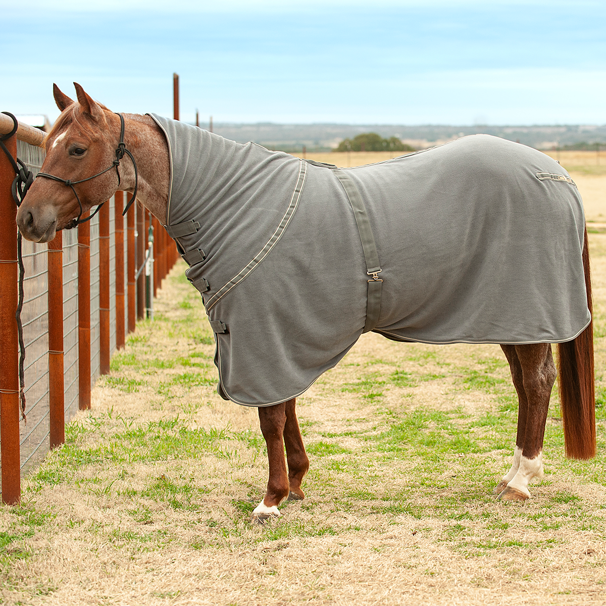 Econo Polar Fleece Cooler EUROHORSE western riding supplies