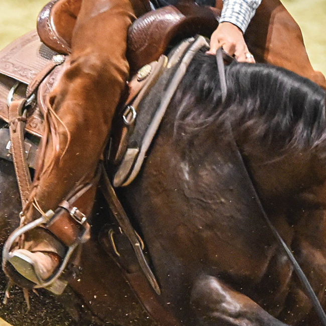 Classic Equine ESP Felt Top