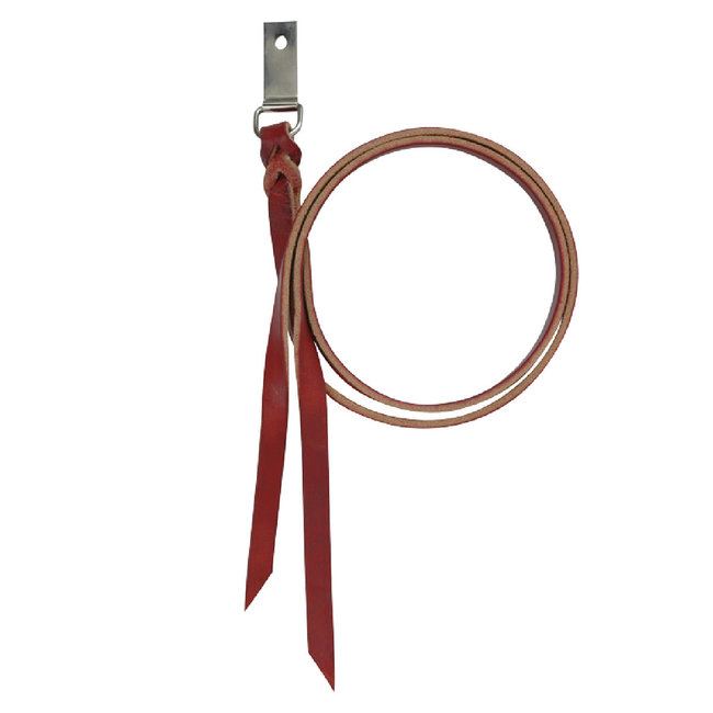 Cashel Saddle Strings, one piece
