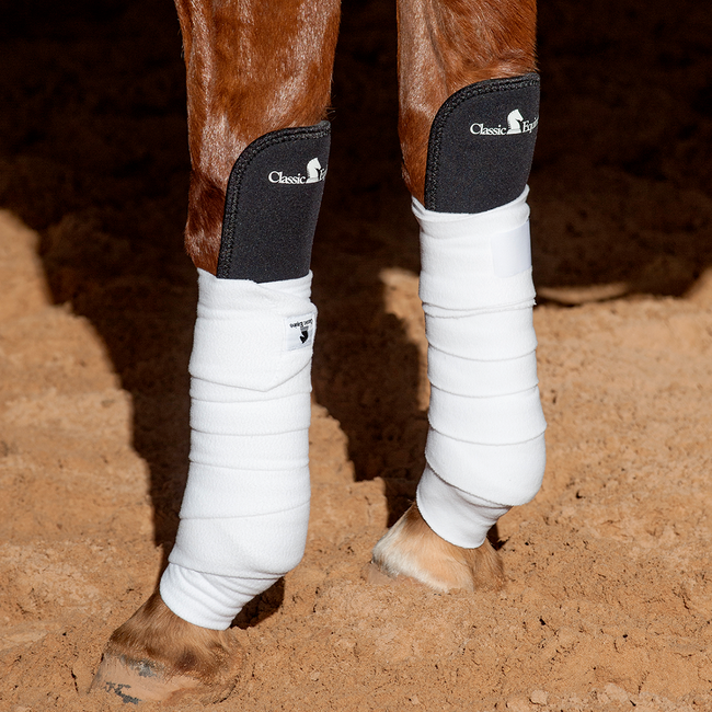 Classic Equine Knee guard / Knie beschermer