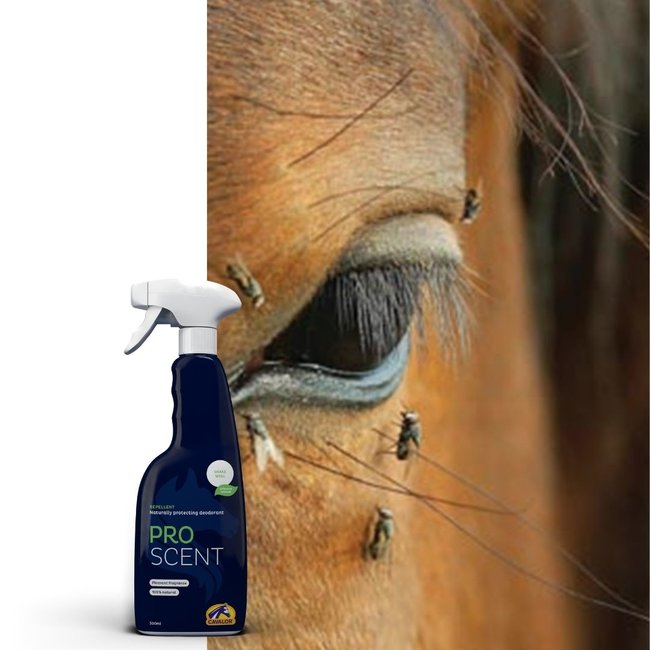 Cavalor Pro-scent