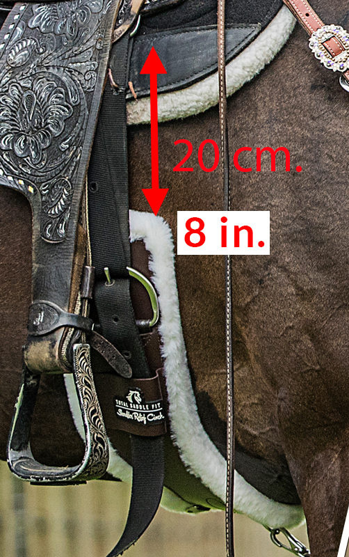 Synergy Straight Cinch with Air Flex EUROHORSE western riding supplies