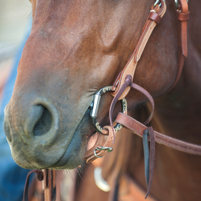 Classic Equine Tool Box Bit3 smooth snaffle