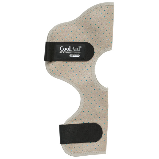 Coolcore CoolAid equine hock wraps