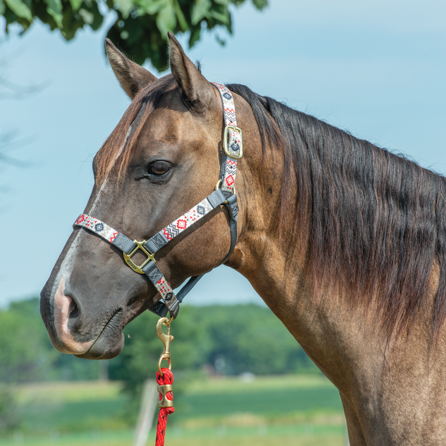 Weaver Leather Halter Patterned