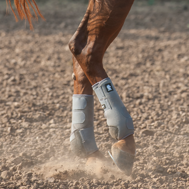 Classic Equine Legacy Boots Hind