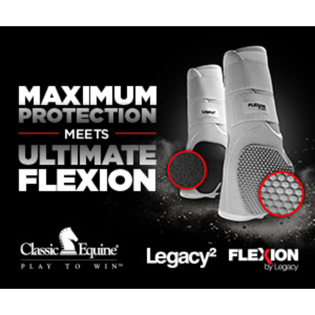 Classic Equine Flexion Front