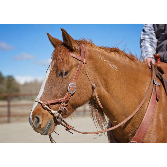 Justin Dunn Bitloos Hoofdstel