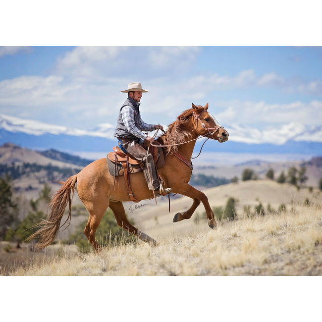 Justin Dunn Bitloos Hoofdstel