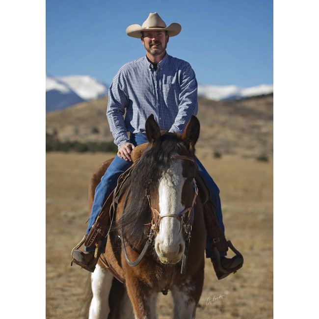 Justin Dunn Bitloos Hoofdstel