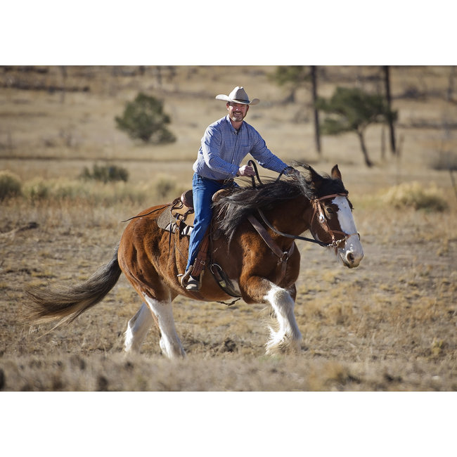 Justin Dunn Bitless Bridle