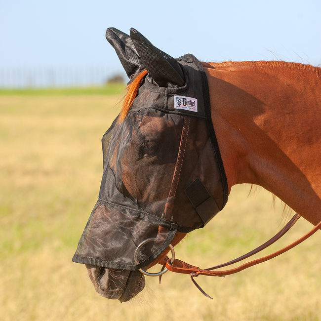 Cashel Quiet Ride met neus- en oorstukken