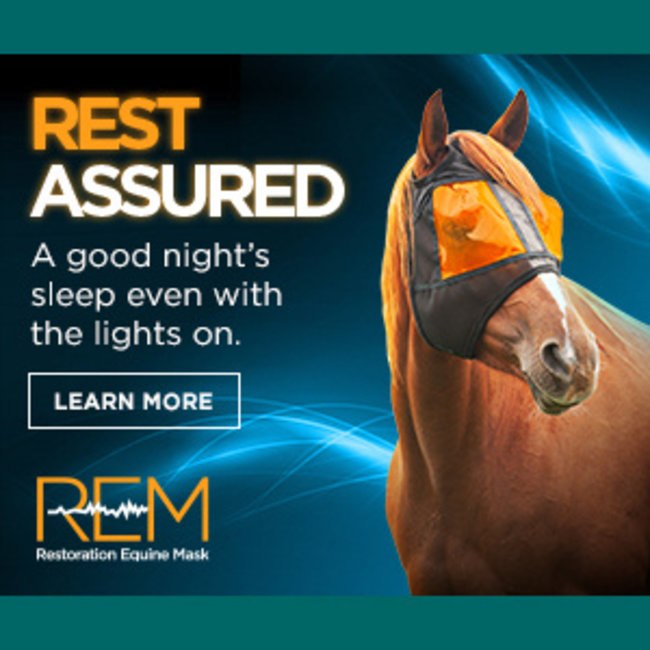 Xpertequine REM Restoration Equine Mask