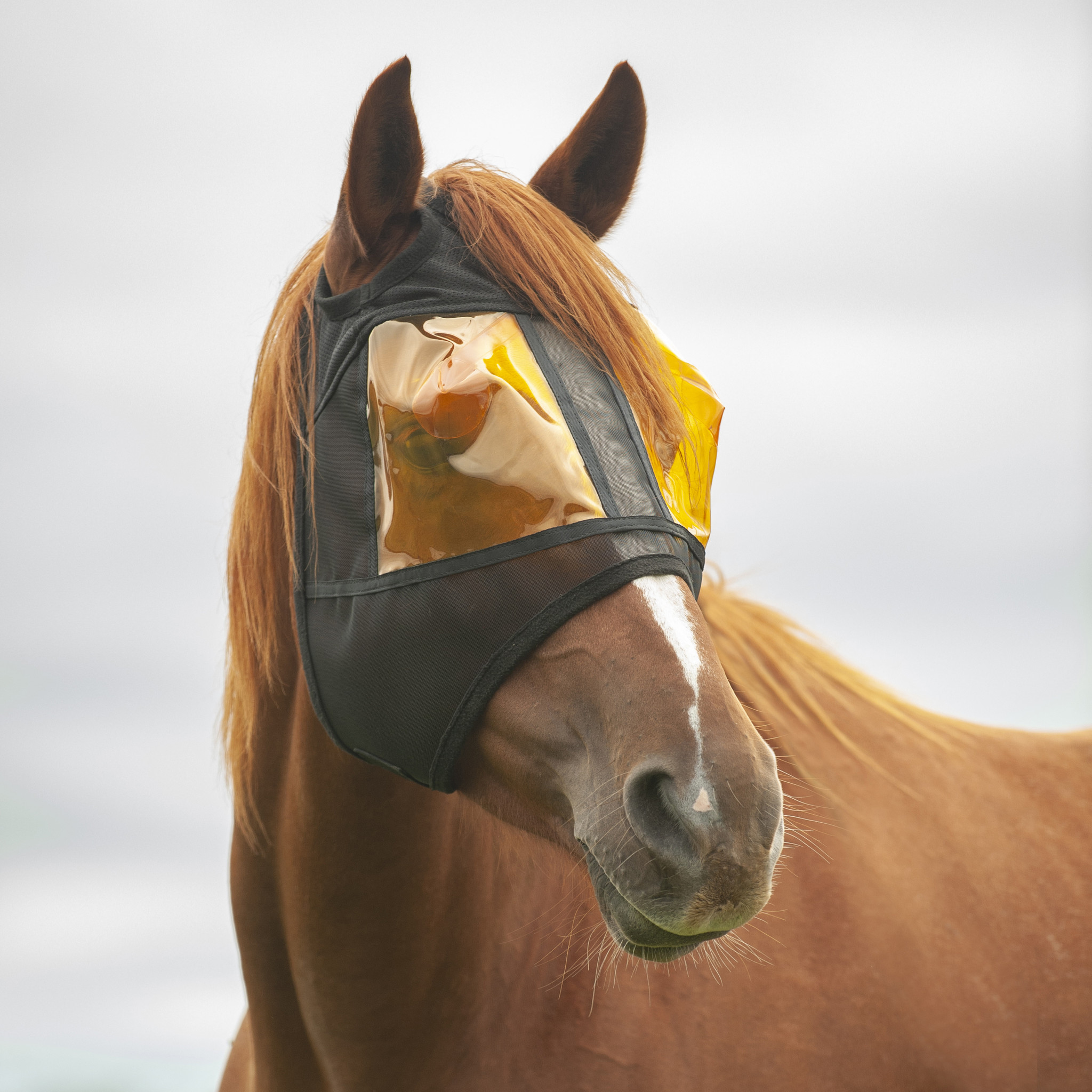 REM Restoration Equine Mask EUROHORSE western riding supplies