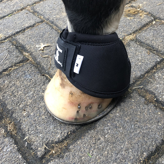Classic Equine Flexion No Turn Bell Boot