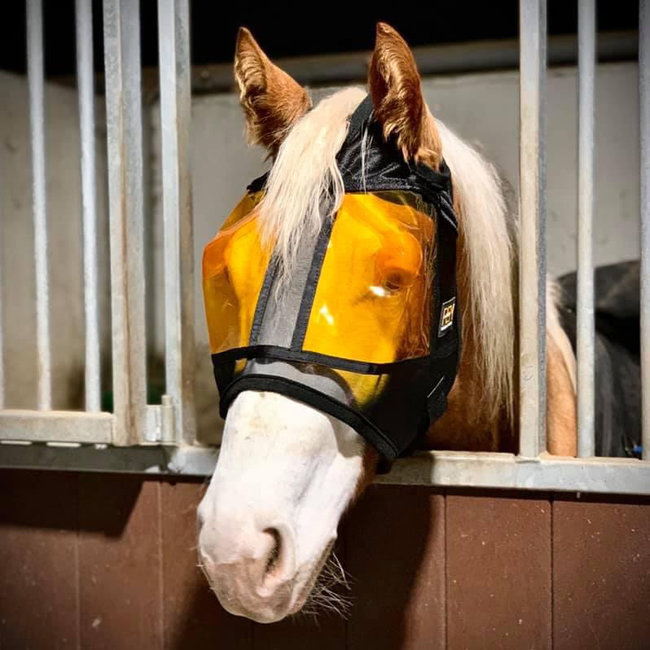 Xpertequine TEST REM Restoration Equine Mask